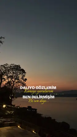 Sebebi yar