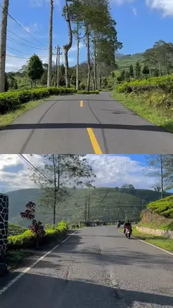 2 video 1 layout 