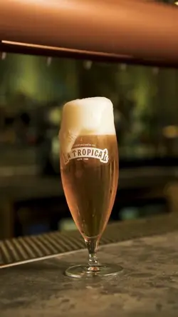 beer
