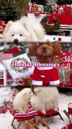 Holiday Blessings