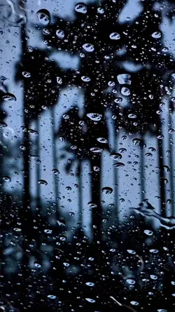 RAIN 3