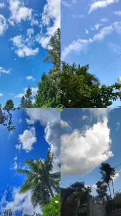 4 pic template 