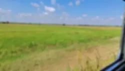 ပြန်လာပါနိုရာ