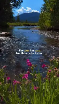 Nature Vibes