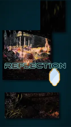 Reflection