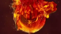 INTRO AI
