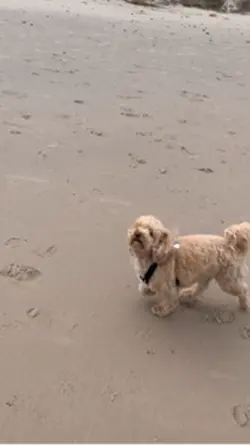 At the beach 