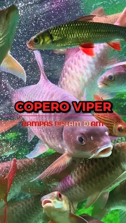 Copero viper