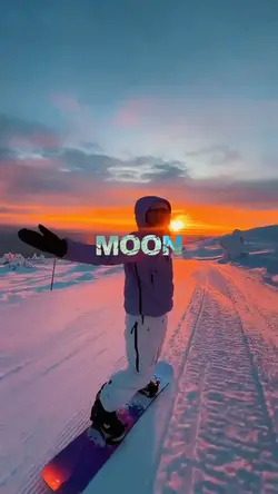 Take Me to The Moon