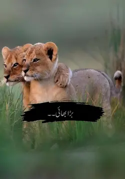 بڑا بھائی 