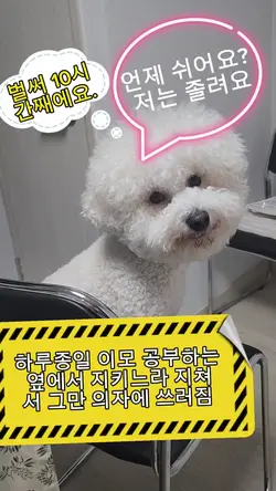 졸려요. 쉬면 안되나요?