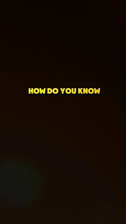 they never lie