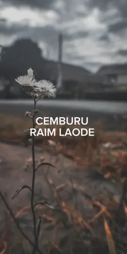 CEMBURU - RAIM LAODE