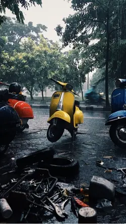 Vespa rege