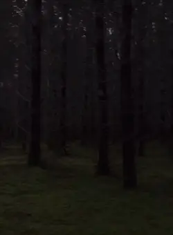 Gnomes