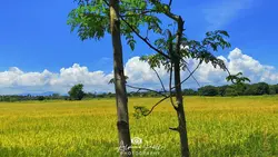Ako na muna