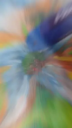 My Art 