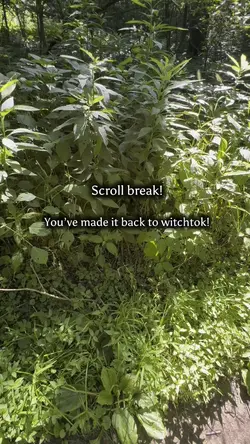 Witch tok