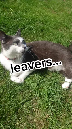 leavers <3