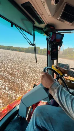 NOIS É AGRO