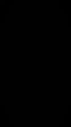 P126 Capcut Template