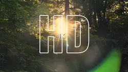HD 4k filter