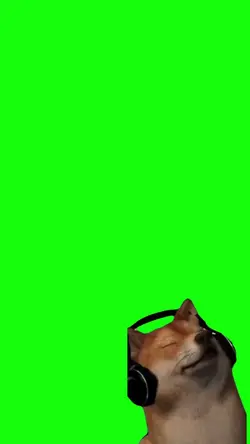 dog dance