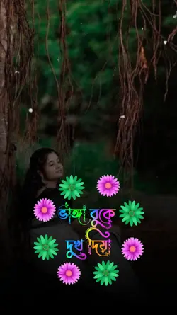 ভাঙ্গা বুকের দুঃখ 