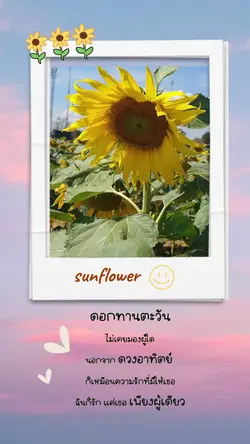 เพียงผู้เดียว