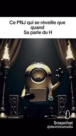 🤣🤣🤣