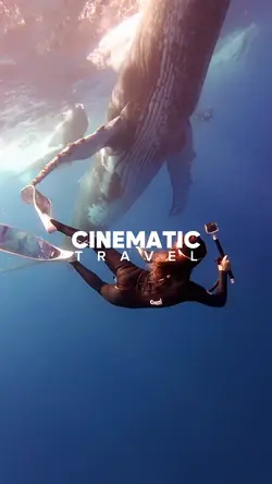 Cinematic