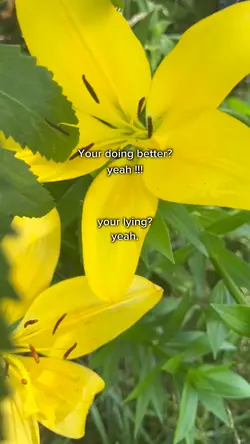 🤷‍♀️