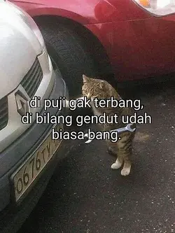 V DI BILANG GENDUT