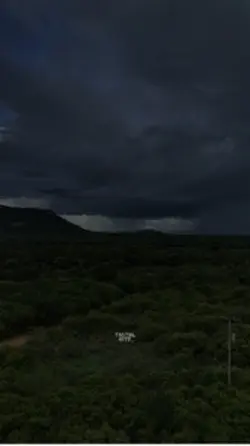Sertão 