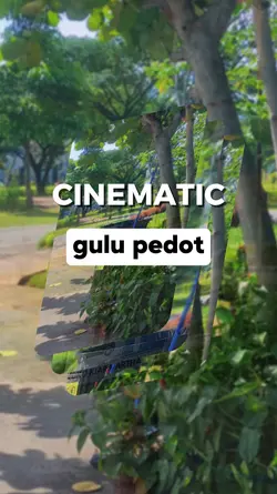 GULU PEDOT