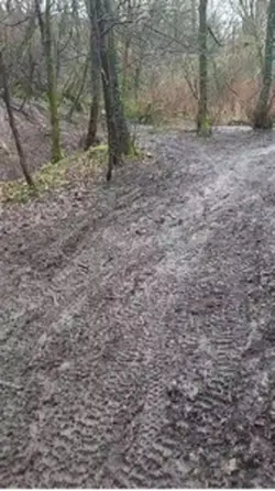 Ride safe?