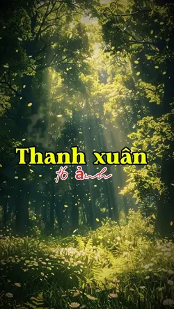 [16] Mẫu nhiều ảnh 