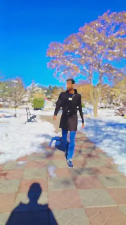 shai template trendi