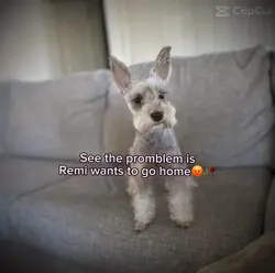 REMI GONNA SUE! 