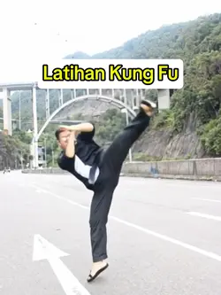 Kung fu Shoulin 