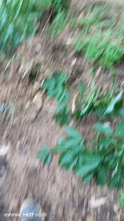 ayo coba dong 