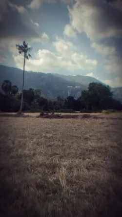 Thay video bạn vào