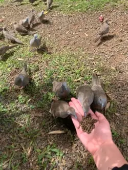 Just a little thing