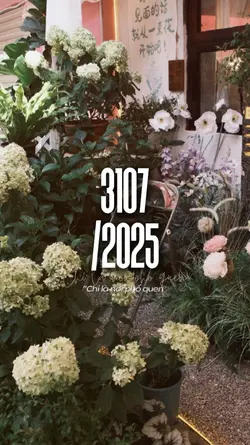 3107 2025