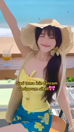 Sari tema fancamm