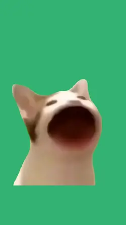 popping cat