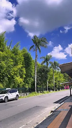 Terang panas