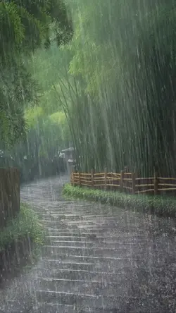 Ghép Cảnh Mưa