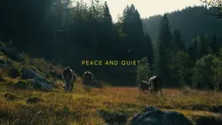 peace and quiet