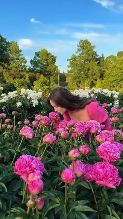 SPRING 2026🌸 